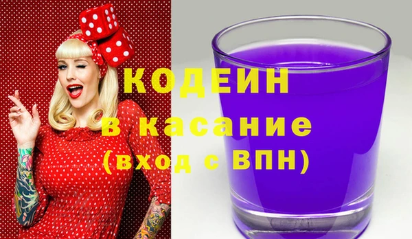 индика Надым