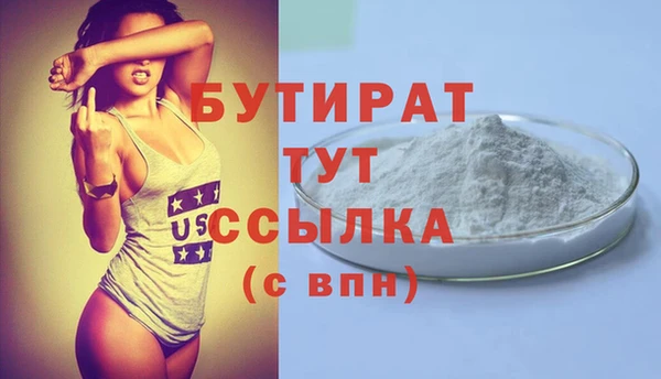индика Надым