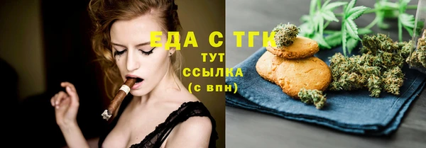 индика Надым