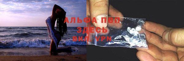 индика Надым