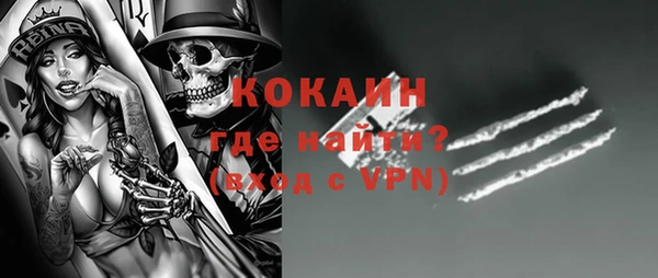 индика Надым