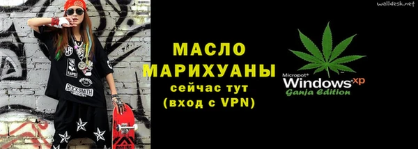 индика Надым