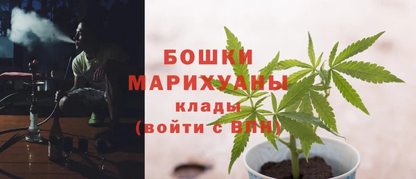индика Надым