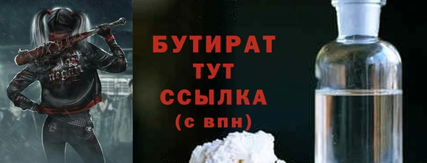 индика Надым