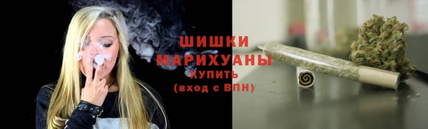 индика Надым