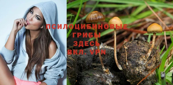 амф Навашино