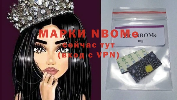 индика Надым