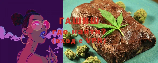 индика Надым