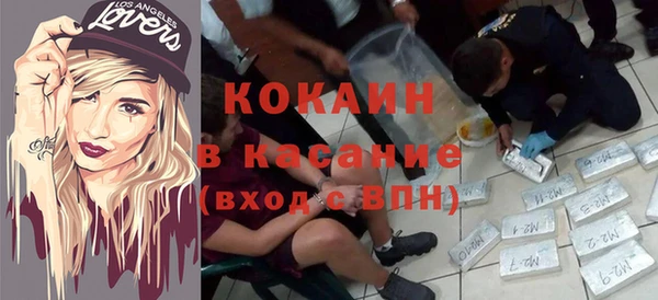 индика Надым