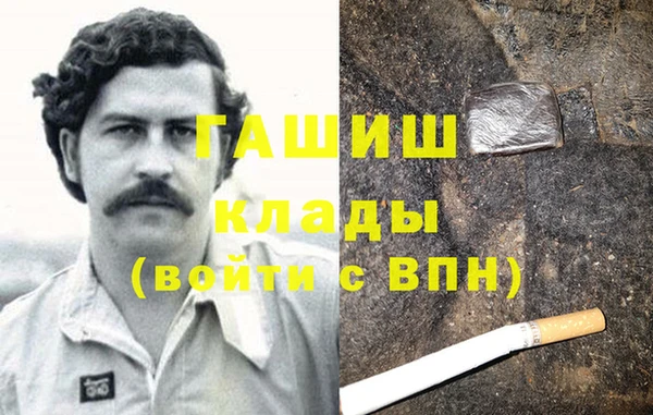 индика Надым