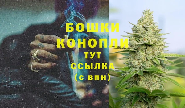 индика Надым