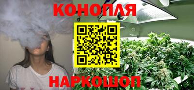 ПСИЛОЦИБИНОВЫЕ ГРИБЫ Канаш