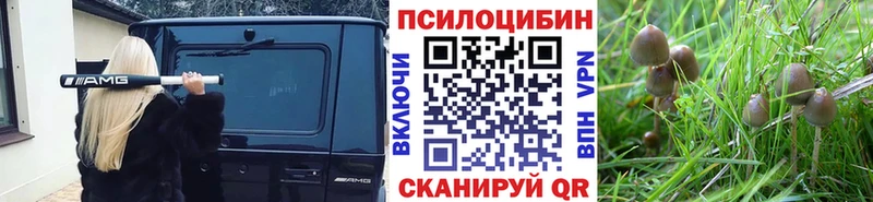 купить  сайты  Миасс  Галлюциногенные грибы мухоморы 